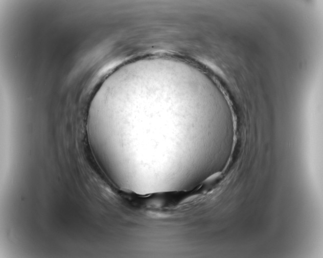 X0000086061359200704091220