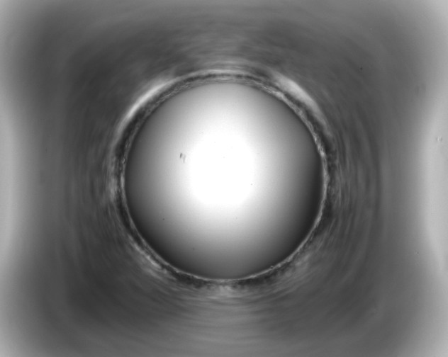 X0000086061360200704091220