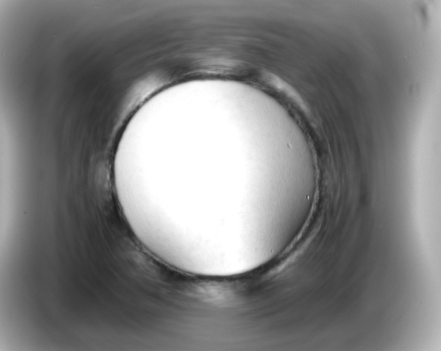 X0000086061362200704091220