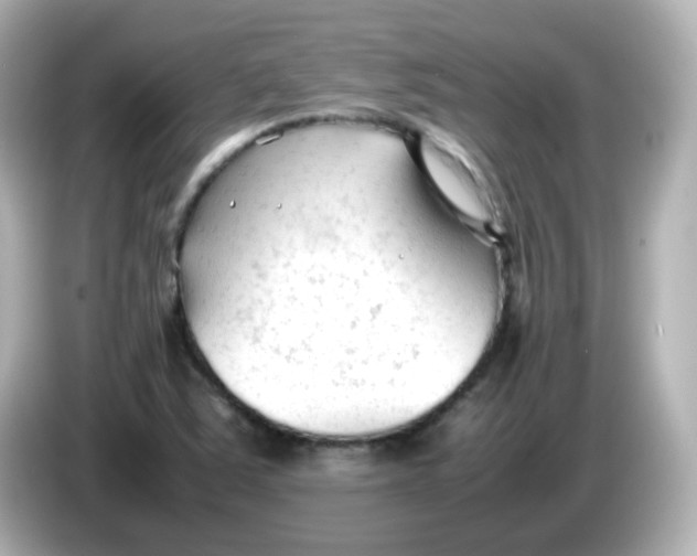 X0000086061363200704091220