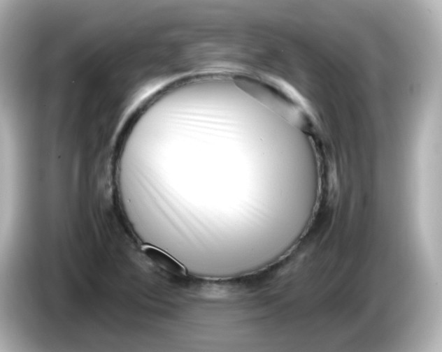 X0000086061364200704091220