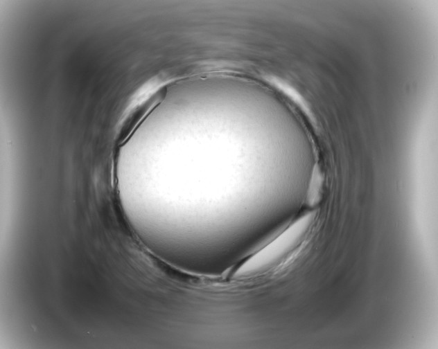 X0000086061365200704091220