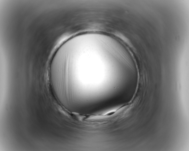 X0000086061366200704091220