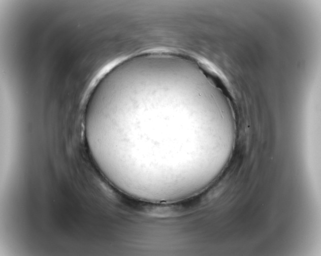 X0000086061367200704091220