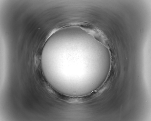 X0000086061369200704091220