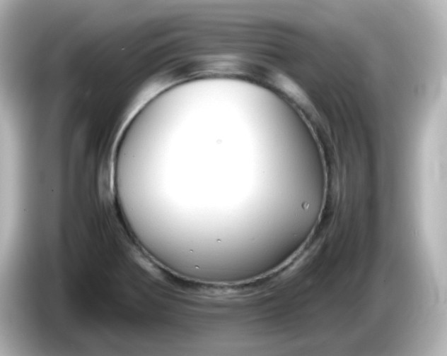 X0000086061370200704091220