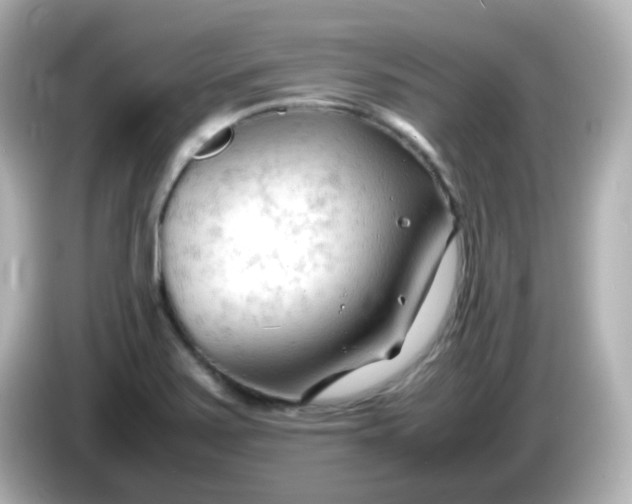 X0000086061371200704091220