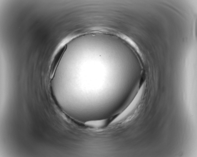 X0000086061373200704091220