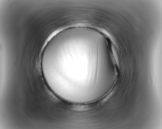 X0000086061374200704091220