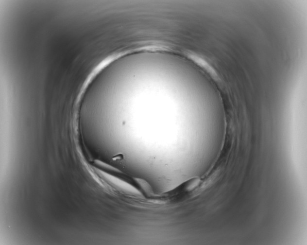 X0000086061375200704091220