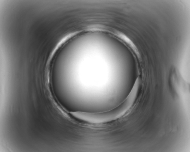 X0000086061376200704091220