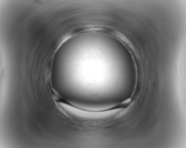 X0000086061377200704091220