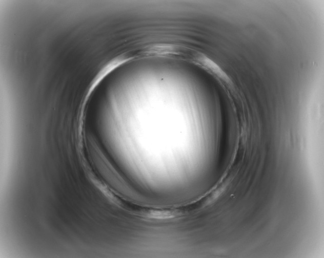 X0000086061378200704091220