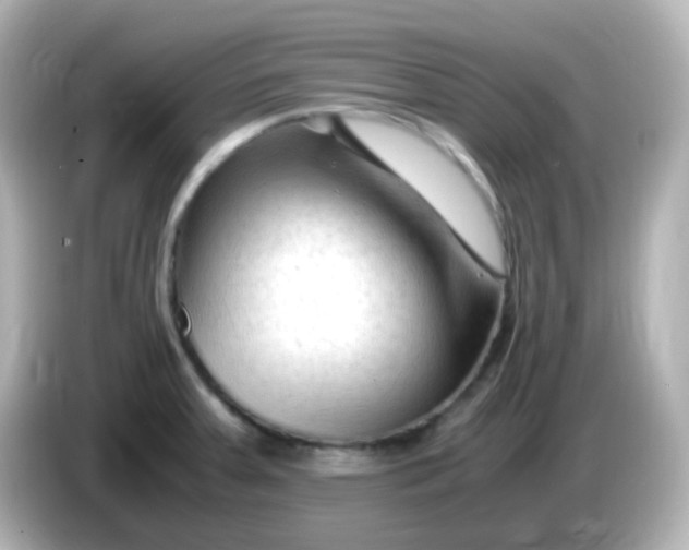 X0000086061379200704091220