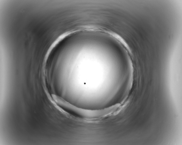 X0000086061381200704091220