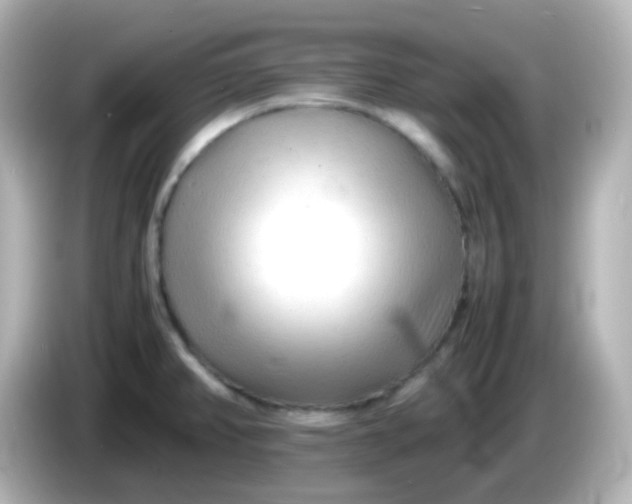 X0000086061382200704091220