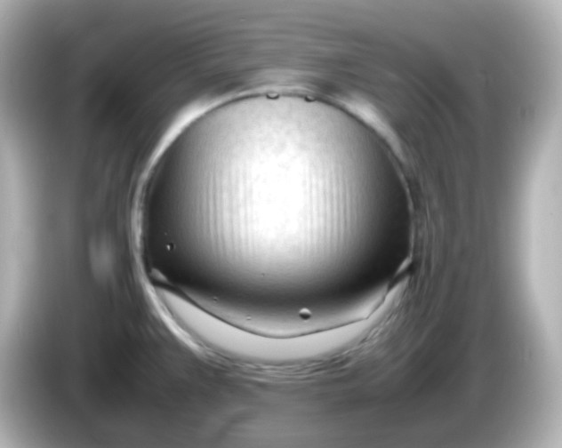 X0000086061383200704091220