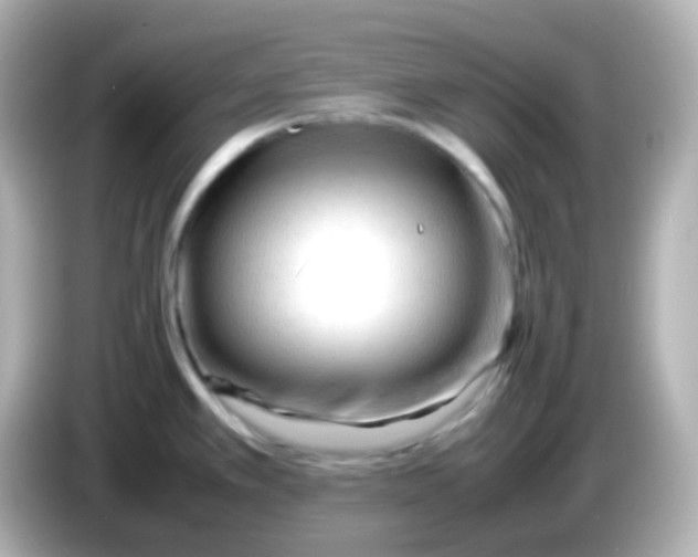 X0000086061389200704091220