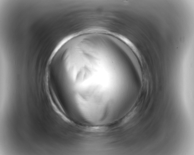 X0000086061390200704091220