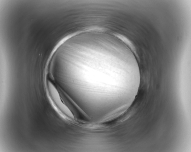 X0000086061391200704091220