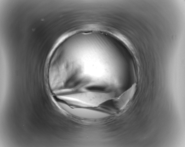 X0000086061392200704091220