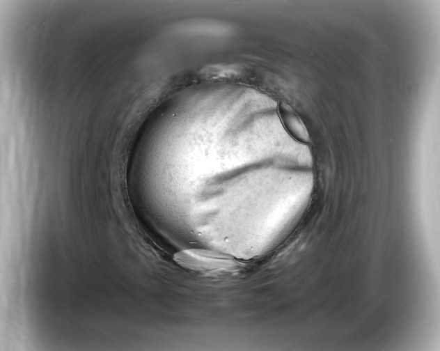 X0000086061393200704091219