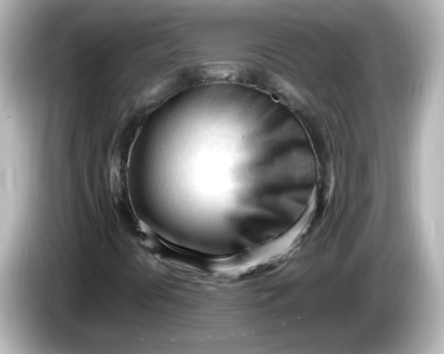 X0000086061394200704091219