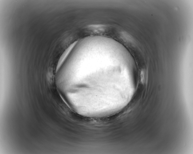 X0000086061395200704091219