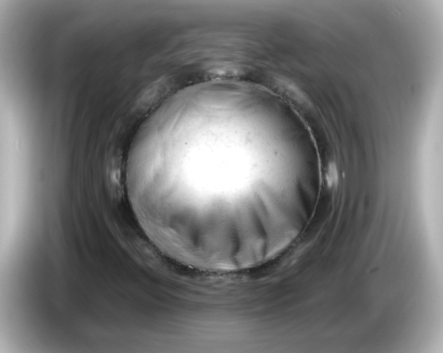 X0000086061396200704091219