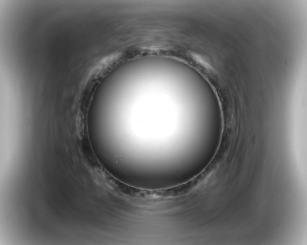 X0000086061398200704091219