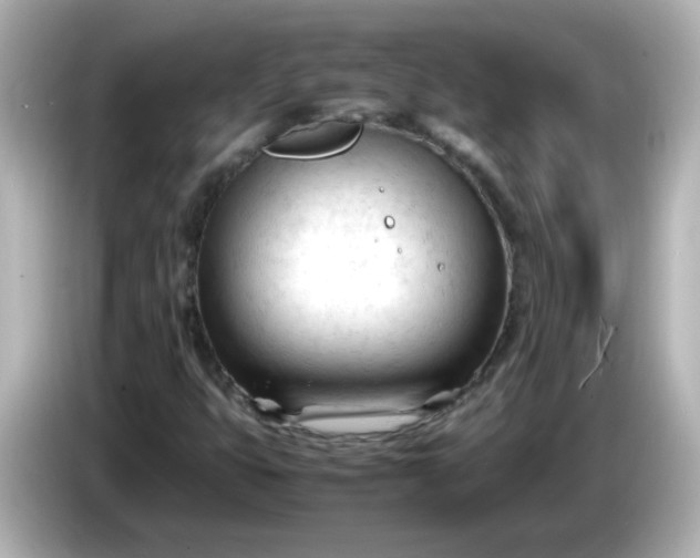 X0000086061399200704091219