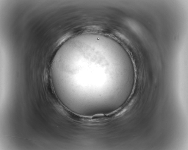 X0000086061401200704091219