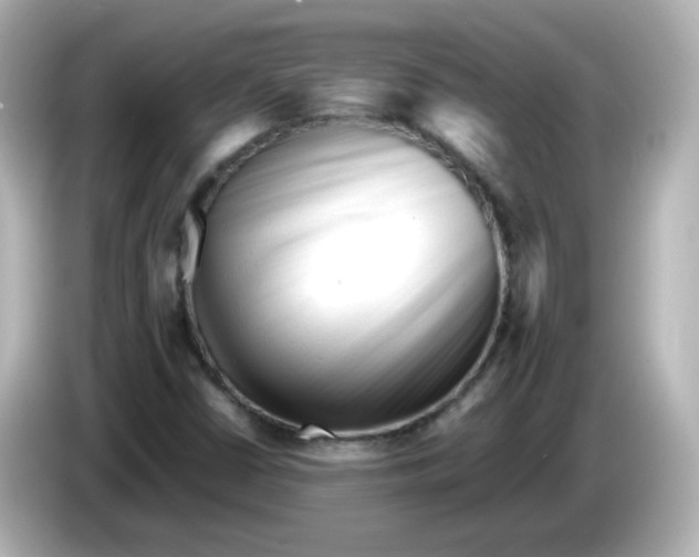 X0000086061402200704091219