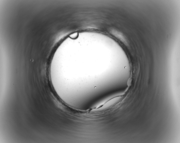 X0000086061404200704091219