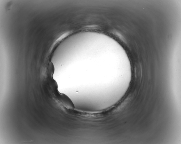 X0000086061405200704091219