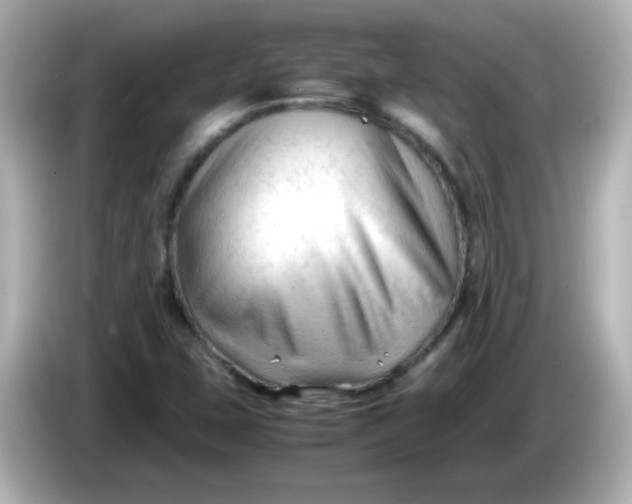 X0000086061407200704091219