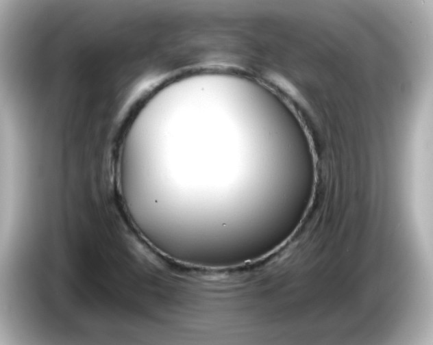 X0000086061408200704091219