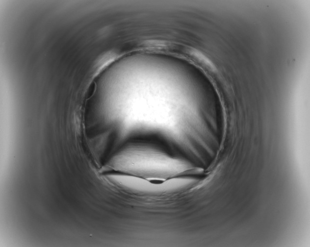 X0000086061409200704091219