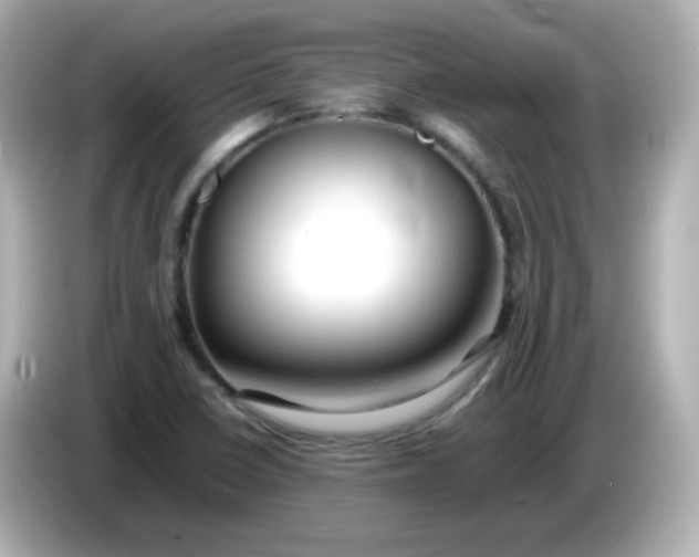 X0000086061410200704091219