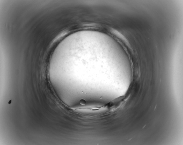 X0000086061411200704091219