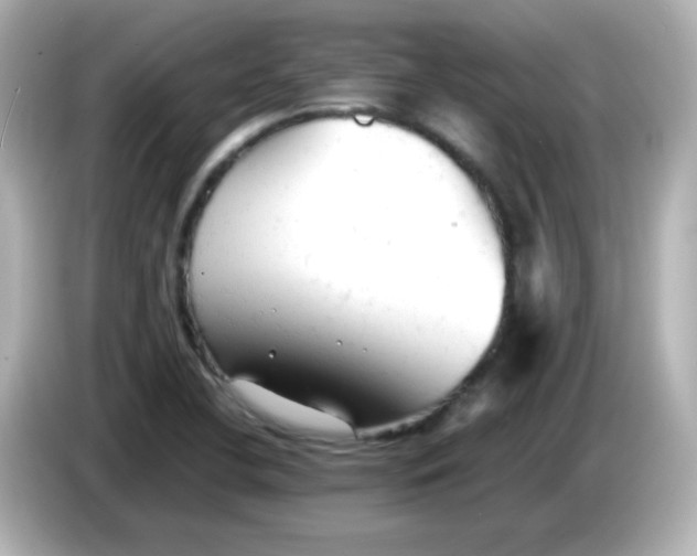 X0000086061412200704091219