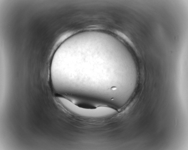 X0000086061413200704091219