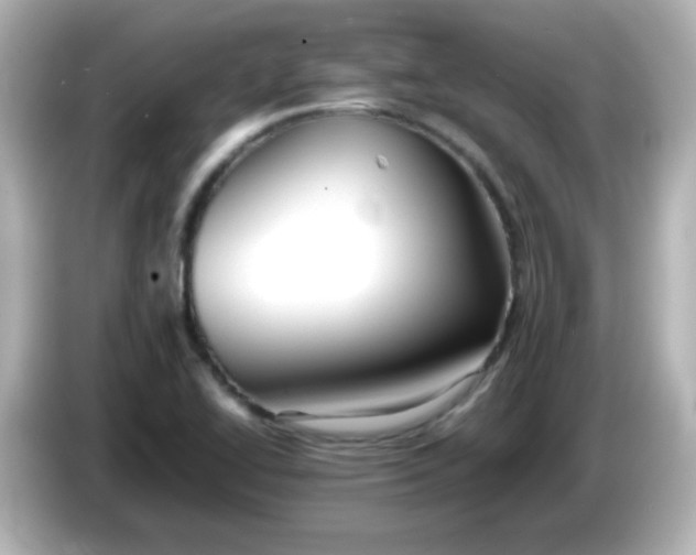 X0000086061414200704091219