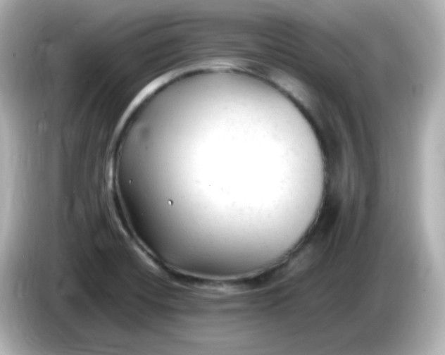 X0000086061420200704091219