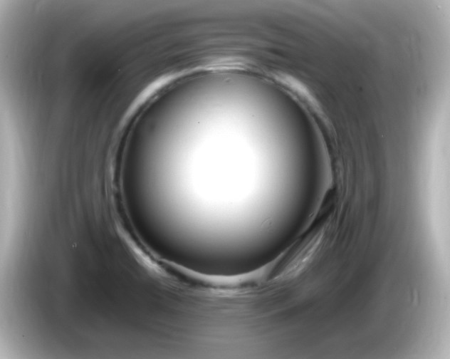 X0000086061422200704091219