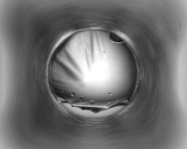 X0000086061423200704091219