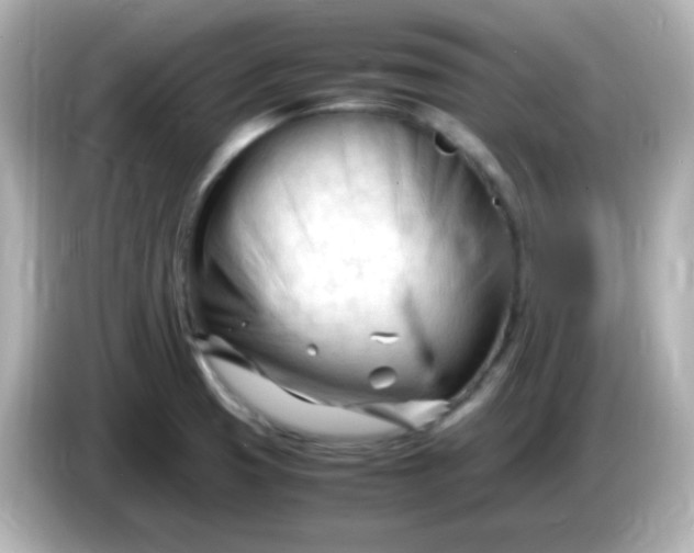 X0000086061425200704091219