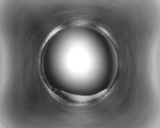 X0000086061426200704091219