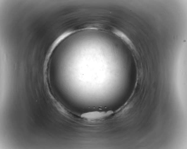 X0000086061427200704091219