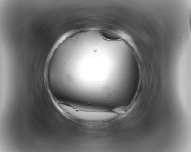 X0000086061429200704091219